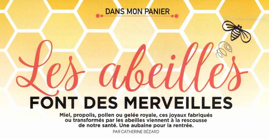 Article les abeilles font des merveilles